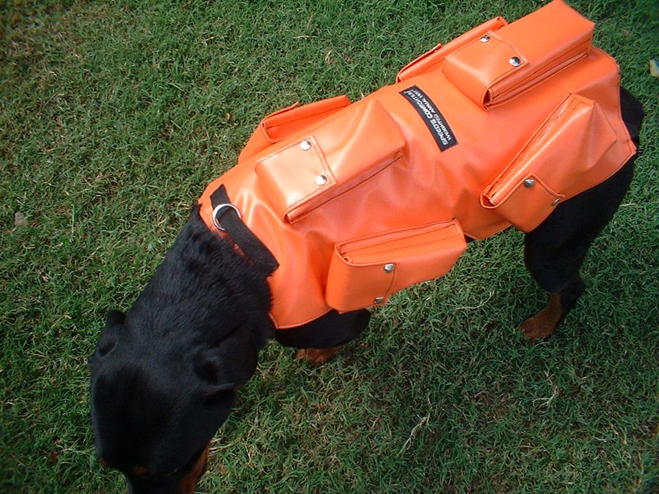best tactical vest for dogs 