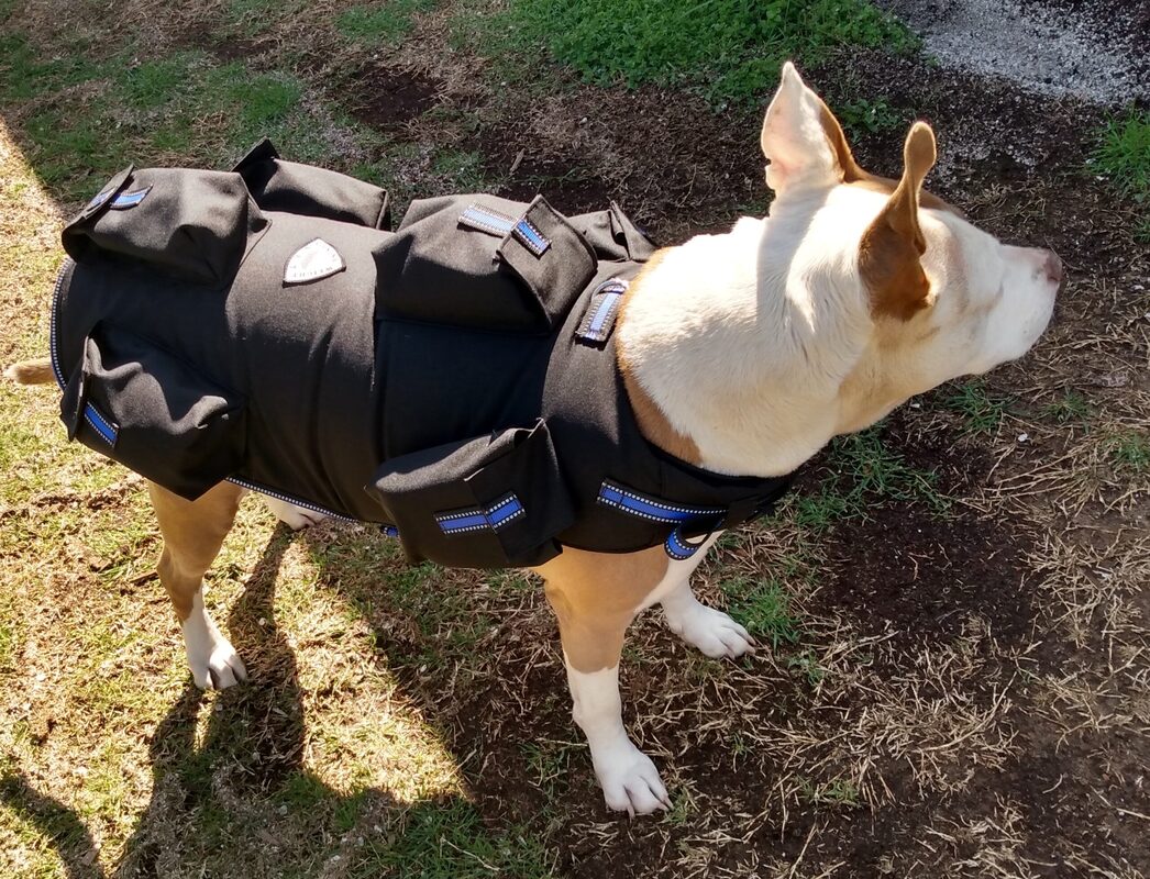 Dog weight harness