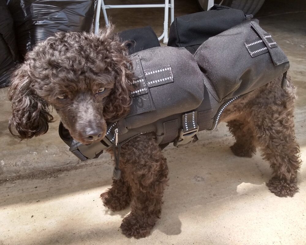 Dog Weight Harness