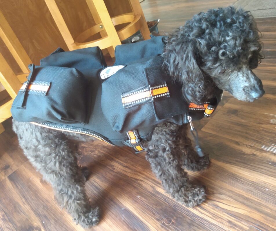 weighted dog vest 