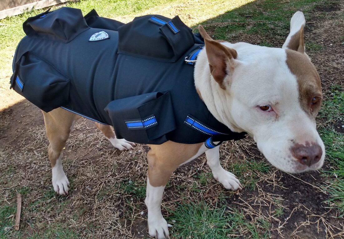 service dog weight vest