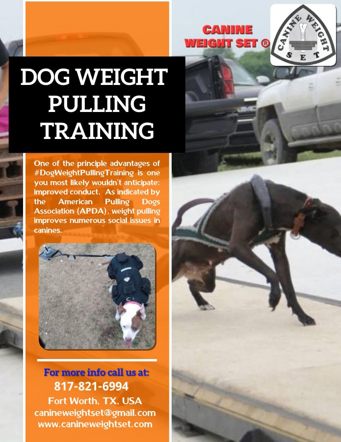 dog weight pulling training 