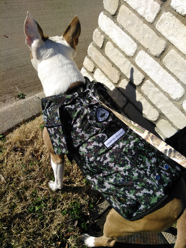 best tactical vest for dogs 