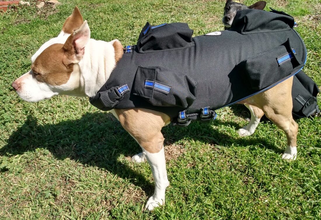 Dog exercise fitness vest